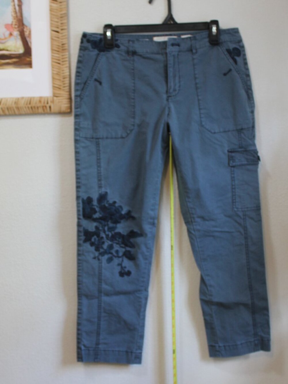 Anthropologie - HEI - The Wanderer Pant - 29